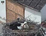 Capi_Dubne_20250421_135002.jpg
