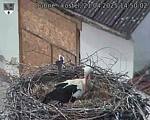 Capi_Dubne_20250421_145002.jpg