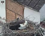 Capi_Dubne_20250421_154503.jpg