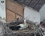 Capi_Dubne_20250421_155002.jpg