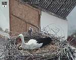 Capi_Dubne_20250421_161003.jpg
