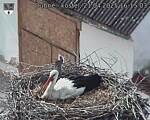 Capi_Dubne_20250421_161503.jpg