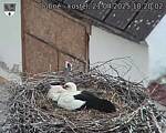 Capi_Dubne_20250421_182002.jpg
