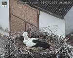 Capi_Dubne_20250421_192003.jpg