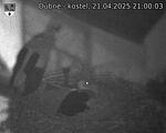 Capi_Dubne_20250421_210003.jpg