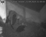 Capi_Dubne_20250421_210503.jpg