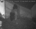 Capi_Dubne_20250421_213503.jpg