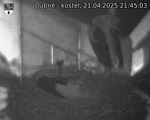 Capi_Dubne_20250421_214503.jpg