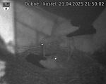 Capi_Dubne_20250421_215002.jpg