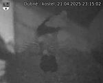 Capi_Dubne_20250421_231502.jpg