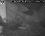 Capi_Dubne_20250421_235002.jpg