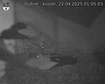 Capi_Dubne_20250422_010503.jpg