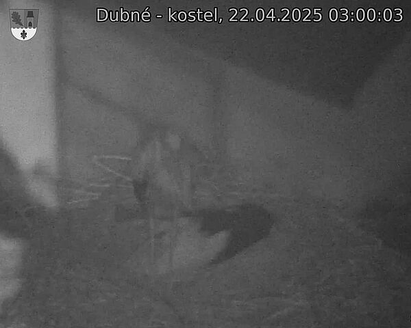Capi_Dubne_20250422_030003.jpg (1350 x 1080)