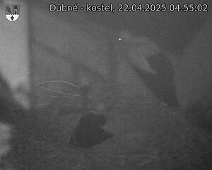 Capi_Dubne_20250422_045502.jpg (1350 x 1080)