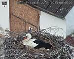 Capi_Dubne_20250422_084503.jpg