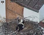 Capi_Dubne_20250422_095003.jpg