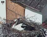 Capi_Dubne_20250422_120002.jpg