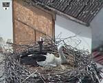 Capi_Dubne_20250422_141503.jpg