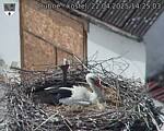 Capi_Dubne_20250422_142503.jpg