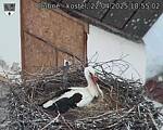 Capi_Dubne_20250422_185502.jpg