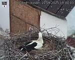 Capi_Dubne_20250422_190003.jpg