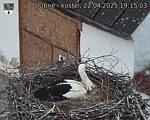 Capi_Dubne_20250422_191503.jpg