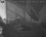 Capi_Dubne_20250422_213003.jpg
