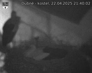 Capi_Dubne_20250422_214002.jpg (1350 x 1080)