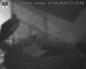 Capi_Dubne_20250422_215502.jpg (1350 x 1080)