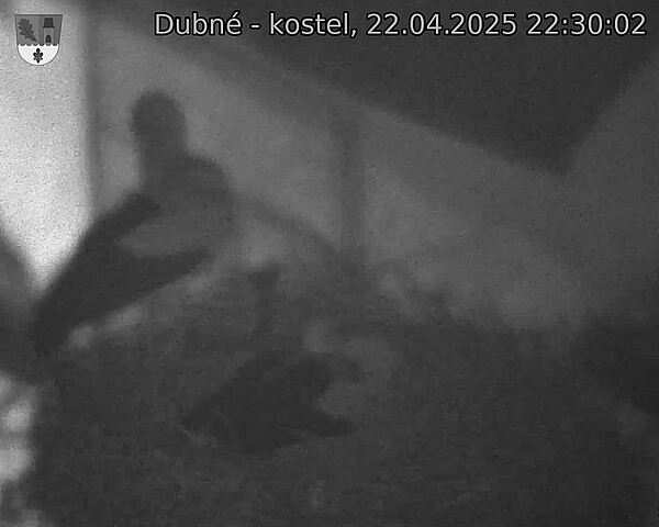 Capi_Dubne_20250422_223002.jpg (1350 x 1080)