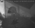 Capi_Dubne_20250422_224502.jpg