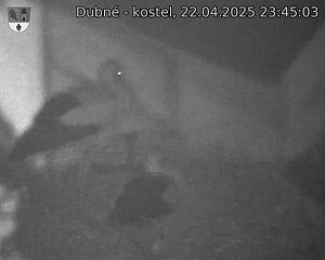 Capi_Dubne_20250422_234503.jpg (1350 x 1080)
