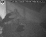 Capi_Dubne_20250422_235003.jpg