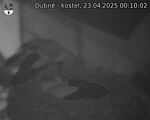 Capi_Dubne_20250423_001002.jpg
