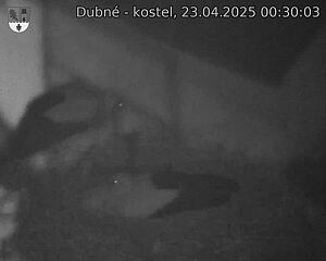 Capi_Dubne_20250423_003003.jpg (1350 x 1080)