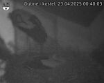 Capi_Dubne_20250423_004003.jpg