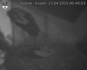 Capi_Dubne_20250423_004003.jpg (1350 x 1080)