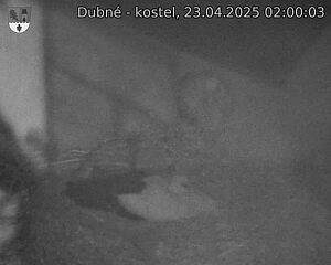 Capi_Dubne_20250423_020003.jpg (1350 x 1080)