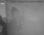 Capi_Dubne_20250423_023502.jpg
