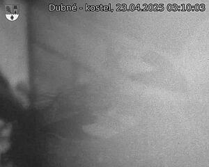 Capi_Dubne_20250423_031003.jpg (1350 x 1080)