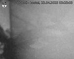Capi_Dubne_20250423_032503.jpg