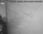 Capi_Dubne_20250423_035002.jpg