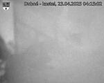 Capi_Dubne_20250423_041502.jpg