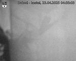 Capi_Dubne_20250423_043503.jpg