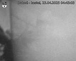 Capi_Dubne_20250423_044503.jpg