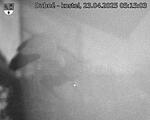 Capi_Dubne_20250423_051503.jpg