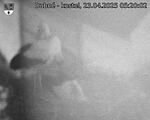 Capi_Dubne_20250423_052002.jpg