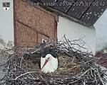 Capi_Dubne_20250423_070002.jpg