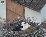 Capi_Dubne_20250423_073003.jpg