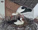 Capi_Dubne_20250423_080502.jpg